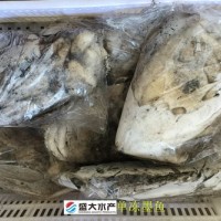 單凍墨魚/花枝/烏賊，干凍沒有泡水，產自福建東山島