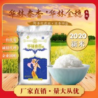 江西大米10斤華林金穗華林泰香米5Kg當(dāng)季新米象牙米清香撲鼻廠(chǎng)批