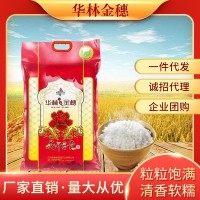 真空包裝大米華林金穗5KG廠(chǎng)家直批香米 鄱陽(yáng)湖江西大米當(dāng)季10斤裝