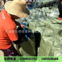 微貯 青貯飼料干玉米秸稈全株青儲(chǔ) 青貯料自產(chǎn)自銷(xiāo)牛羊鹿養(yǎng)殖草料