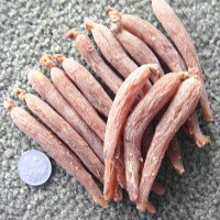 廠家批發(fā)零售人參80支紅參六年根皂苷含量高源頭產品