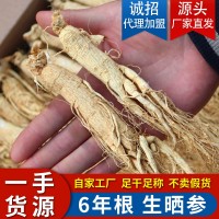 長白山人參批發(fā)整枝長白山干參生曬參白參東北特產人參干貨