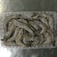 冷凍南美白對(duì)蝦，加工南美白對(duì)蝦，河北南美白對(duì)蝦，唐山南美對(duì)蝦