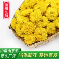 當(dāng)季新花廠家直銷(xiāo)徽州皇菊批發(fā)散裝菊花茶婺源皇菊球菊休寧黃菊花