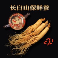 廠家直銷長白山保鮮參 吉林保鮮人參東北特產新鮮人參泡酒保鮮參