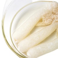 古田長(zhǎng)裙竹蓀竹參竹笙 福建沒熏硫竹蓀干貨批發(fā)送禮50g裝量大從優(yōu)  2件起批