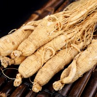 長白山人參白全須 12支500克 大個 生曬參東北特產產地貨源批發(fā)