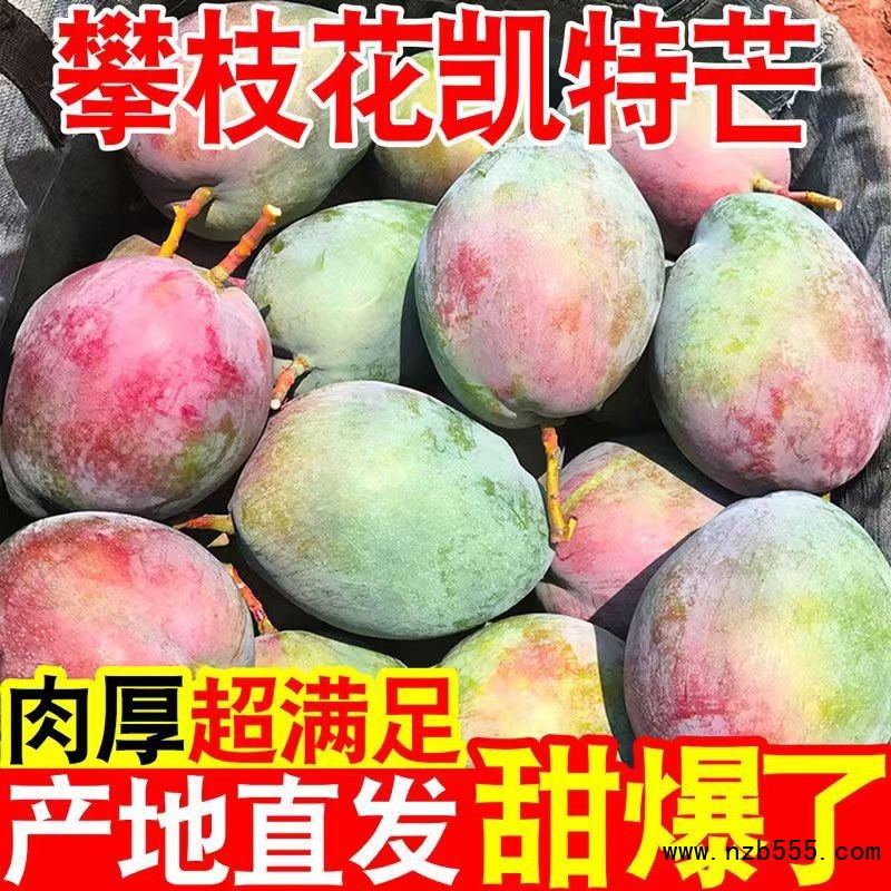 O1CN01BFlZEo1XmTnPizvwB_!!2200710532966-0-cib