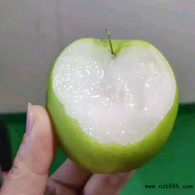 O1CN01fdTx0b1OrDNsFSTfp_!!2217609131758-0-cib