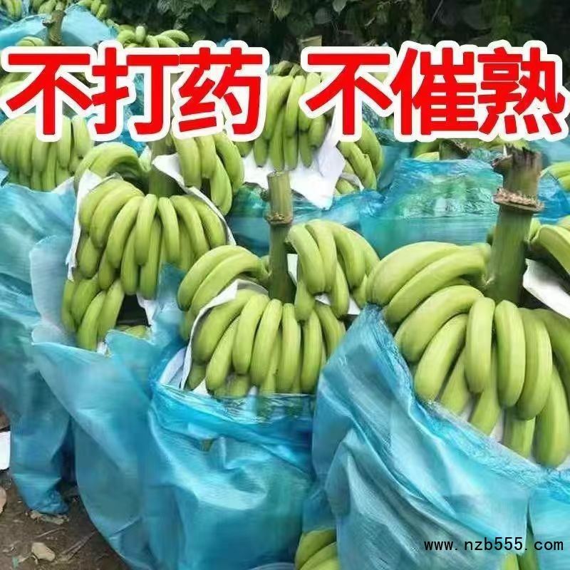 O1CN01WyUKBF1OrDNt1MrmS_!!2217609131758-0-cib