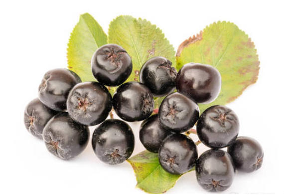 ScreenShot_2026-01-21_165806_174